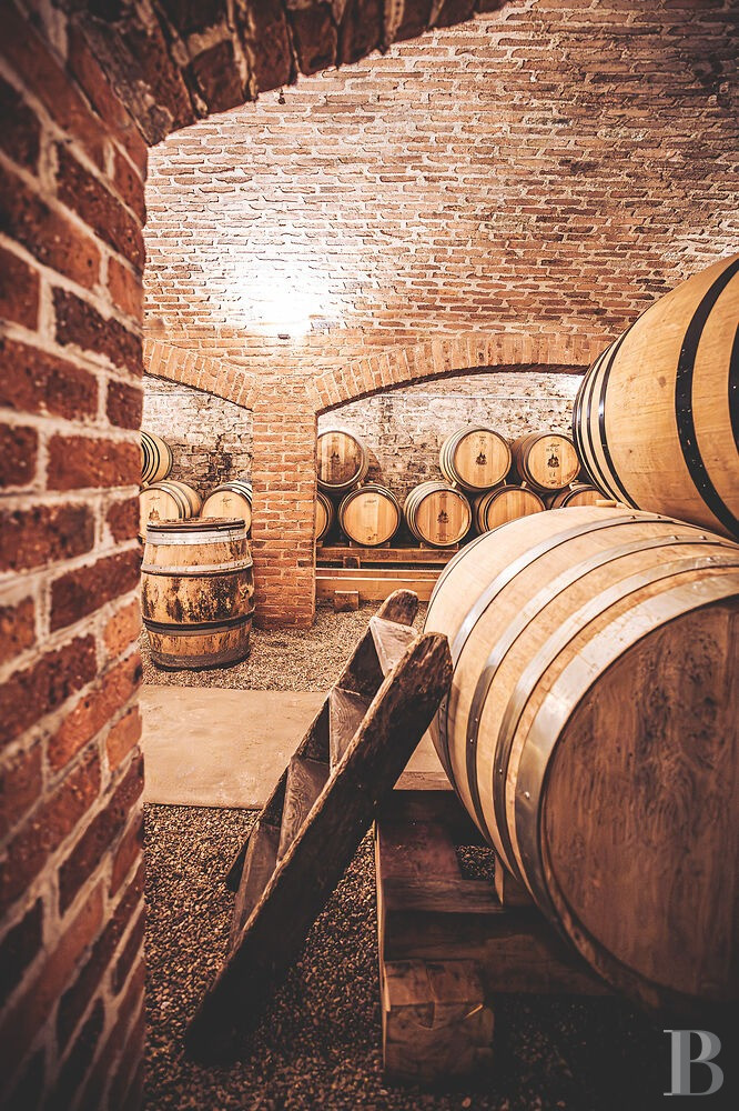 En Bourgogne, à Beaune, un château de la Belle Époque au milieu de ses huit hectares de vignes - photo  n°41